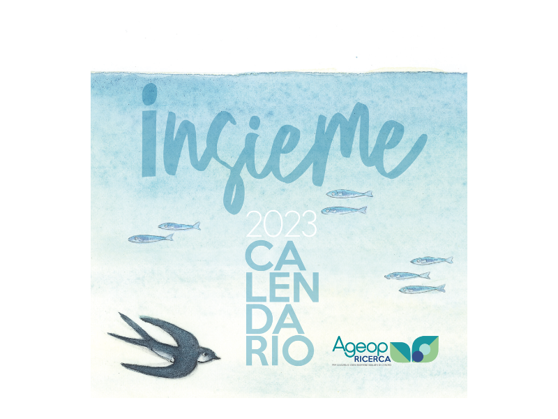 Calendario 2023 da muro